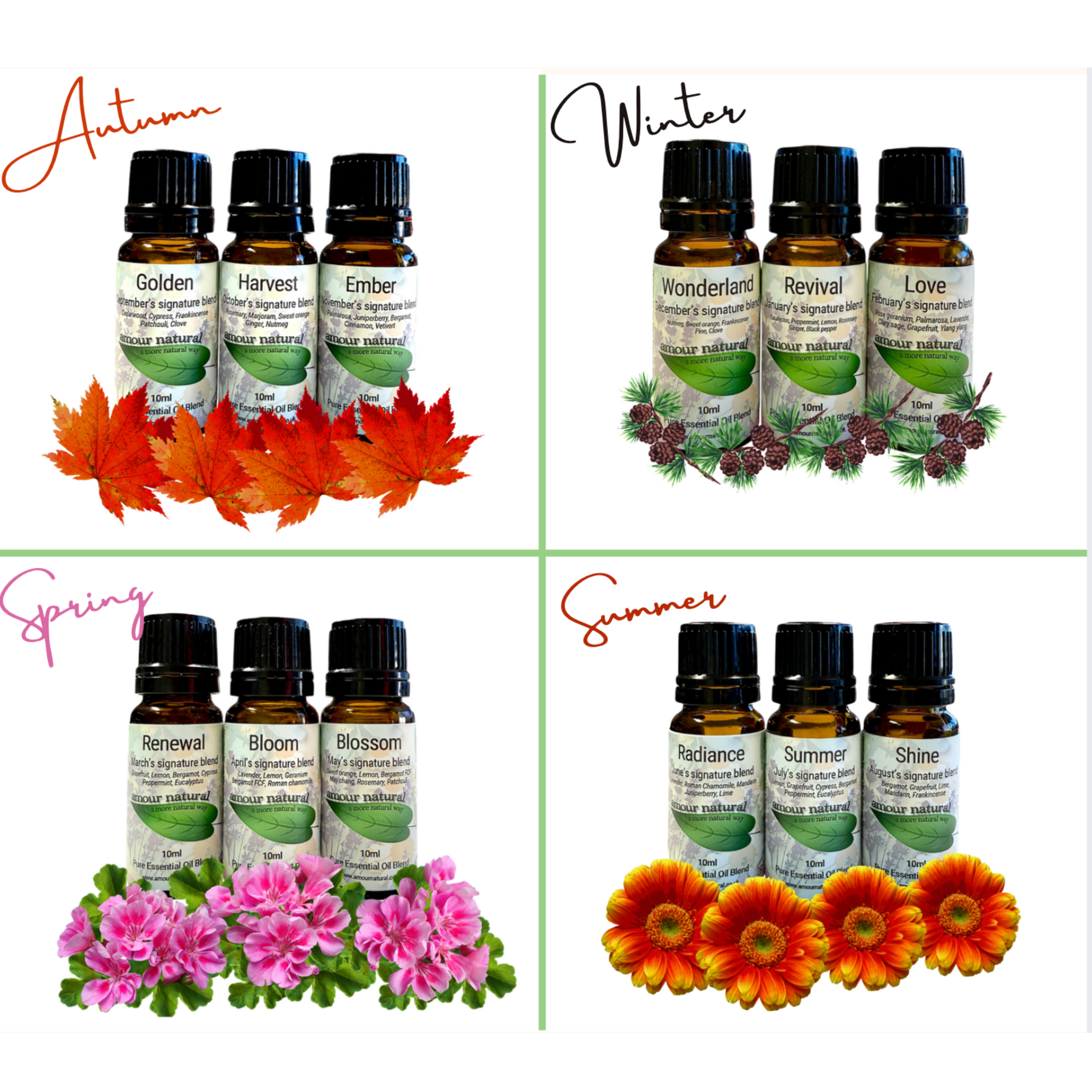Seasons of Aromatherapy